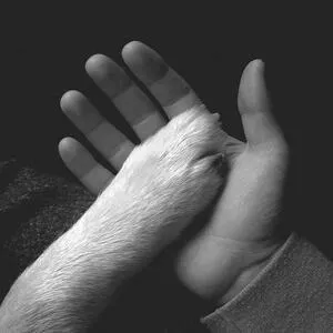 Tasha sits close to the piano